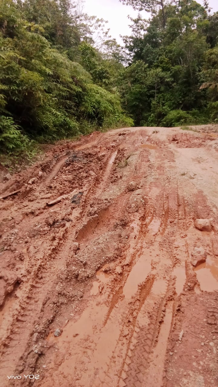 Pemuda SBB Gerard Wakanno Soroti Absennya Tiga Anggota DPRD Dapil 2: Inamosol Seperti Daerah yang Dilupakan 6 IMG 20251211 WA0002