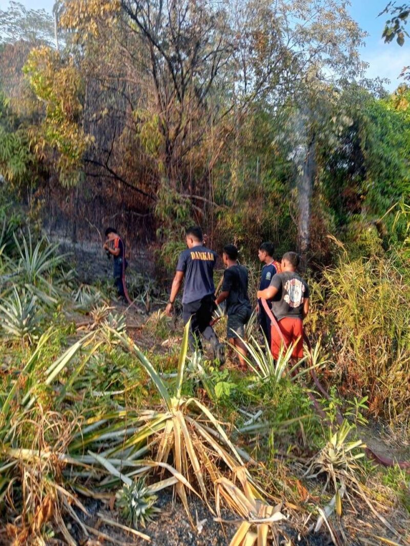 Foto: Lahan terbakar di kawasan Wailete, Desa Hative Besar, Kecamatan Teluk Ambon, Selasa (27/01/2026) sore.
