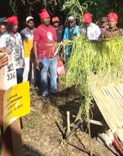 Masyarakat Adat Negeri Seti Gelar Sasi Adat, Tolak Pematokan HPT di Wilayah Petuanan Nusa Folla 4 Sasi adat di patok HPT